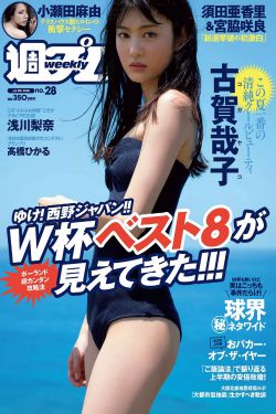 清平乐电视剧